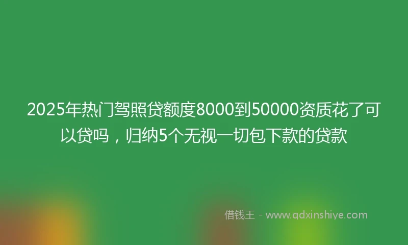2025年热门驾照贷额度8000到50000资质花了可以贷吗，归纳5个无视一切包下款的贷款