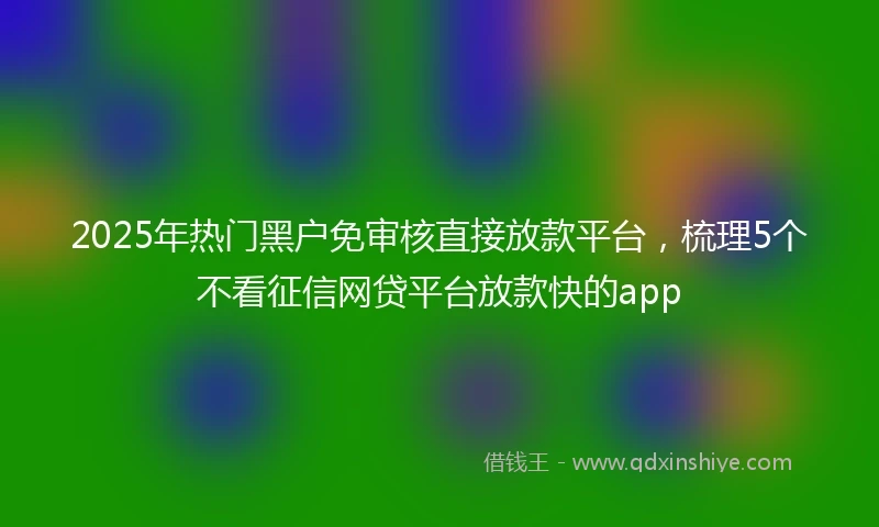 2025年热门黑户免审核直接放款平台，梳理5个不看征信网贷平台放款快的app
