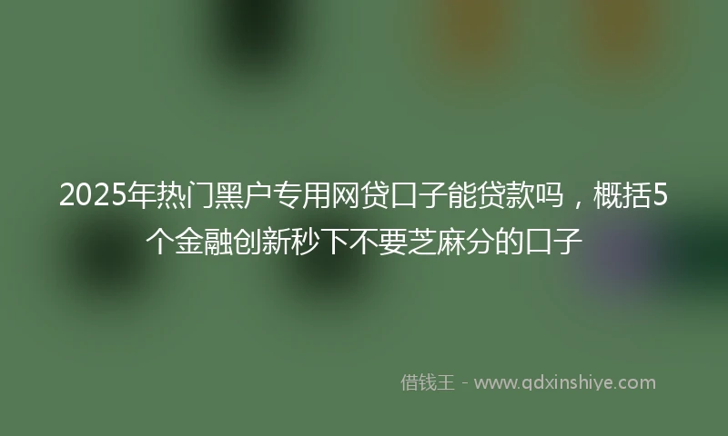 2025年热门黑户专用网贷口子能贷款吗，概括5个金融创新秒下不要芝麻分的口子