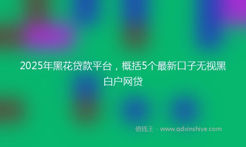 2025年黑花贷款平台，概括5个最新口子无视黑白户网贷