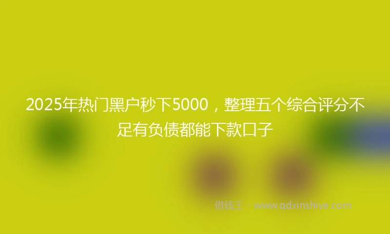 2025年热门黑户秒下5000，整理五个综合评分不足有负债都能下款口子