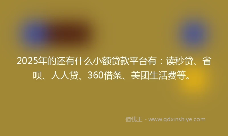 2025年的还有什么小额贷款平台有：读秒贷、省呗、人人贷、360借条、美团生活费等。