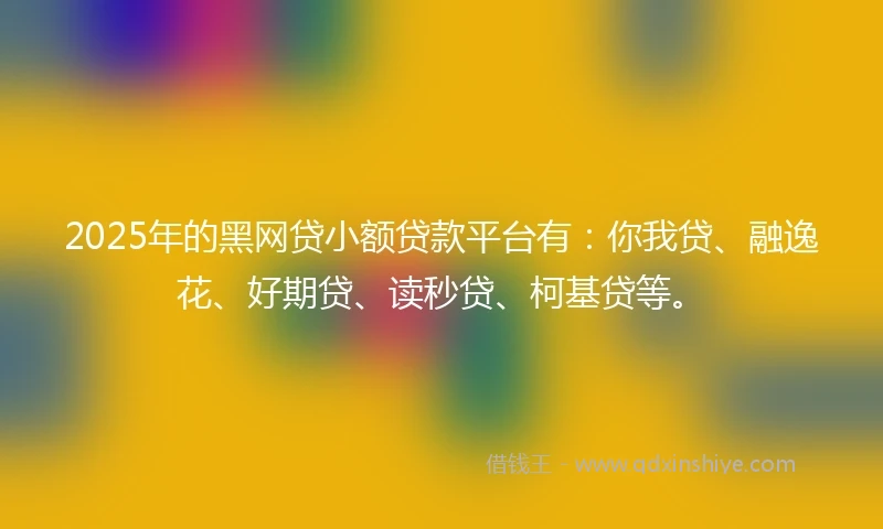 2025年的黑网贷小额贷款平台有：你我贷、融逸花、好期贷、读秒贷、柯基贷等。
