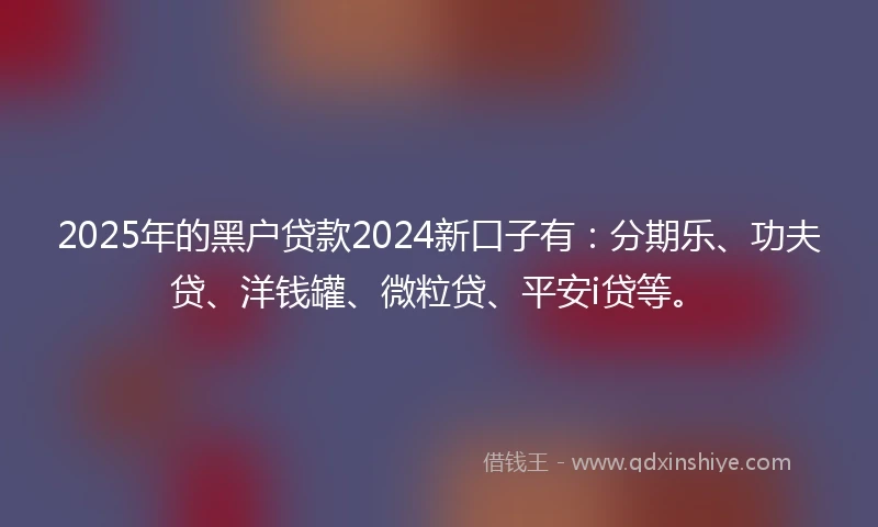 2025年的黑户贷款2024新口子有：分期乐、功夫贷、洋钱罐、微粒贷、平安i贷等。