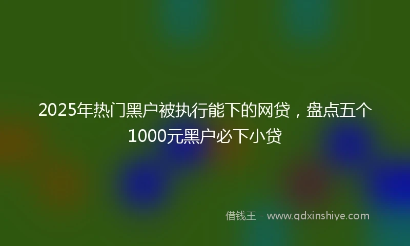 2025年热门黑户被执行能下的网贷，盘点五个1000元黑户必下小贷