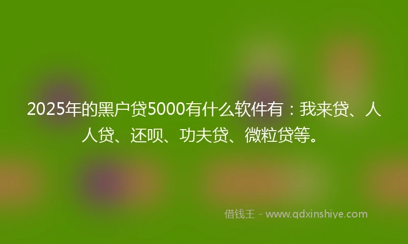 2025年的黑户贷5000有什么软件有：我来贷、人人贷、还呗、功夫贷、微粒贷等。