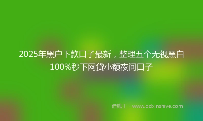2025年黑户下款口子最新，整理五个无视黑白100%秒下网贷小额夜间口子