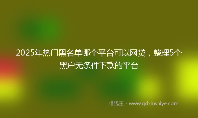 2025年热门黑名单哪个平台可以网贷，整理5个黑户无条件下款的平台