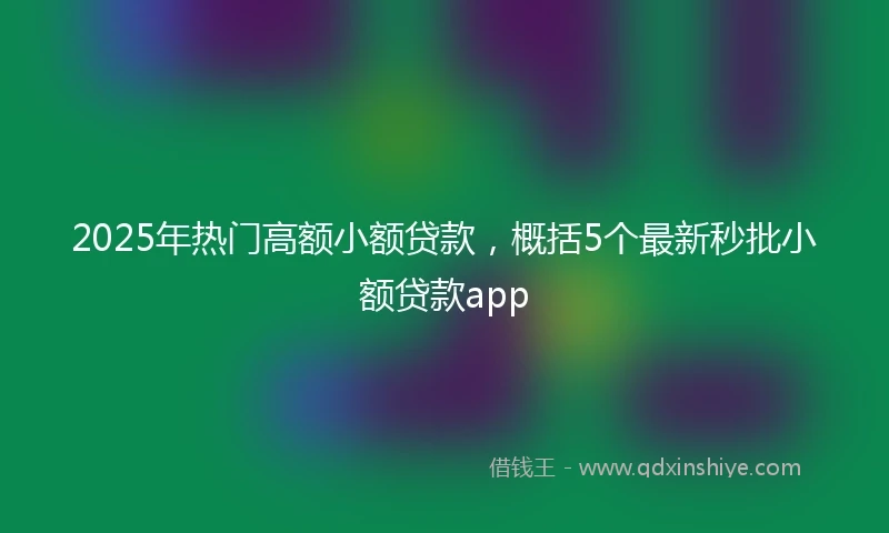 2025年热门高额小额贷款，概括5个最新秒批小额贷款app