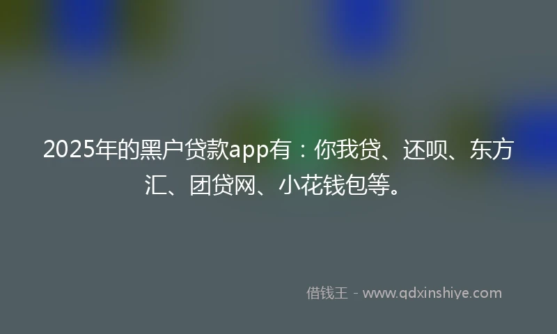 2025年的黑户贷款app有：你我贷、还呗、东方汇、团贷网、小花钱包等。
