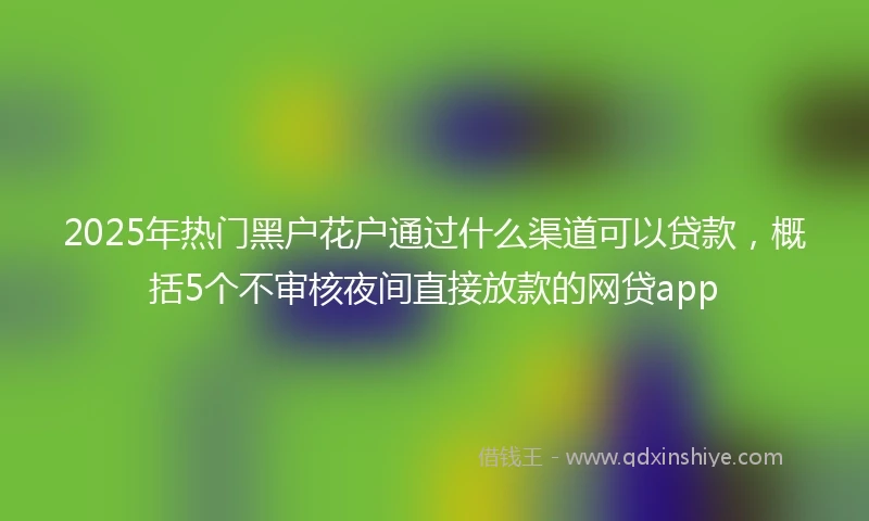 2025年热门黑户花户通过什么渠道可以贷款，概括5个不审核夜间直接放款的网贷app