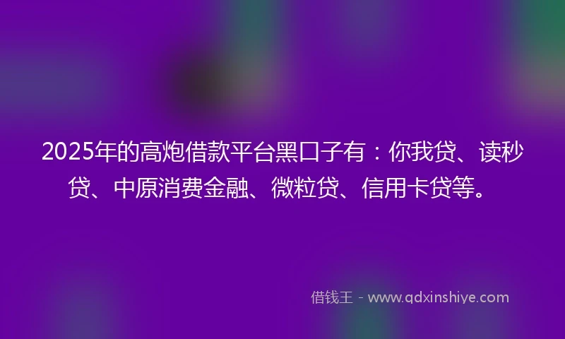 2025年的高炮借款平台黑口子有：你我贷、读秒贷、中原消费金融、微粒贷、信用卡贷等。