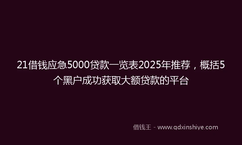 21借钱应急5000贷款一览表2025年推荐，概括5个黑户成功获取大额贷款的平台