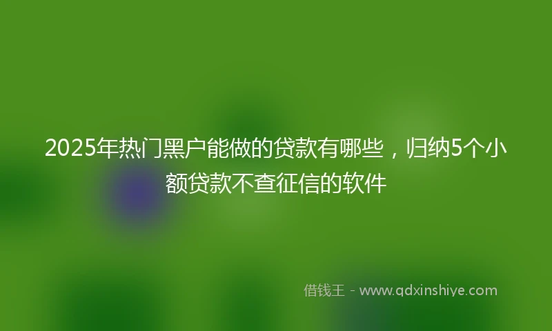 2025年热门黑户能做的贷款有哪些，归纳5个小额贷款不查征信的软件