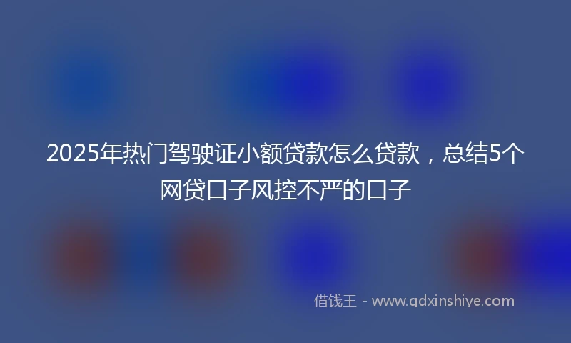 2025年热门驾驶证小额贷款怎么贷款，总结5个网贷口子风控不严的口子