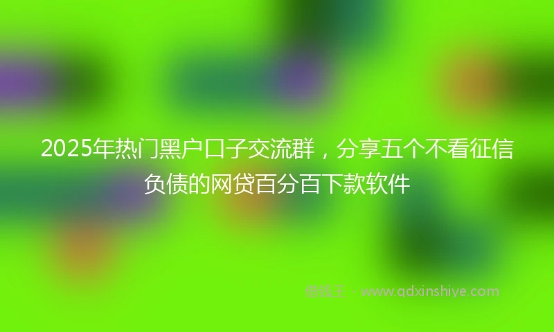 2025年热门黑户口子交流群，分享五个不看征信负债的网贷百分百下款软件