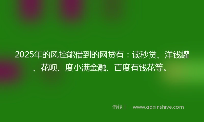 2025年的风控能借到的网贷有：读秒贷、洋钱罐、花呗、度小满金融、百度有钱花等。