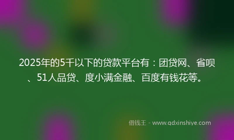 2025年的5千以下的贷款平台有：团贷网、省呗、51人品贷、度小满金融、百度有钱花等。