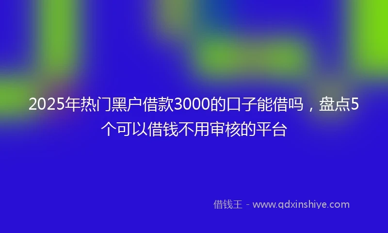 2025年热门黑户借款3000的口子能借吗，盘点5个可以借钱不用审核的平台
