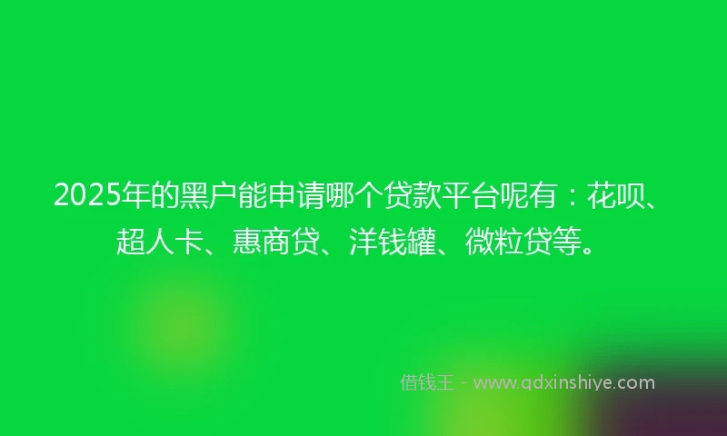 2025年的黑户能申请哪个贷款平台呢有：花呗、超人卡、惠商贷、洋钱罐、微粒贷等。