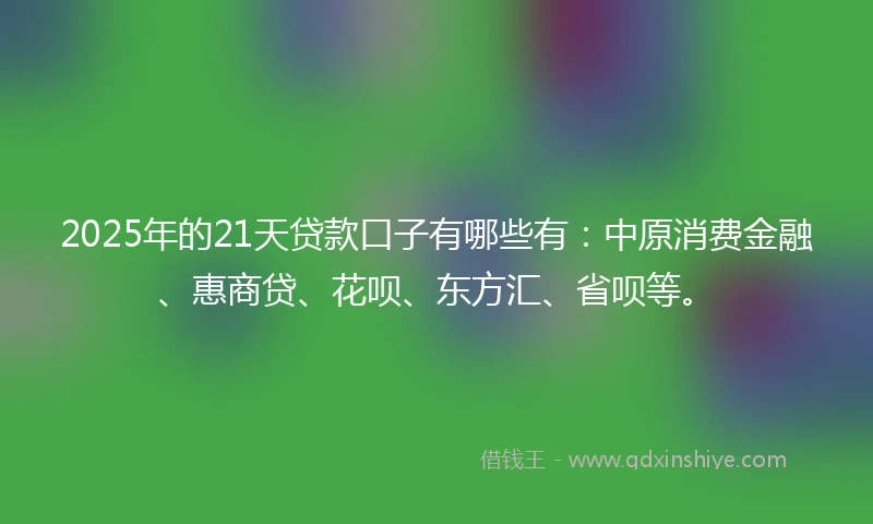 2025年的21天贷款口子有哪些有：中原消费金融、惠商贷、花呗、东方汇、省呗等。