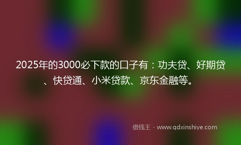 2025年的3000必下款的口子有：功夫贷、好期贷、快贷通、小米贷款、京东金融等。