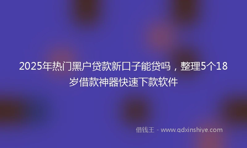 2025年热门黑户贷款新口子能贷吗，整理5个18岁借款神器快速下款软件