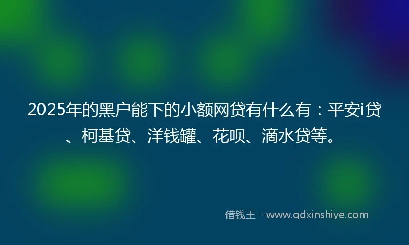 2025年的黑户能下的小额网贷有什么有：平安i贷、柯基贷、洋钱罐、花呗、滴水贷等。