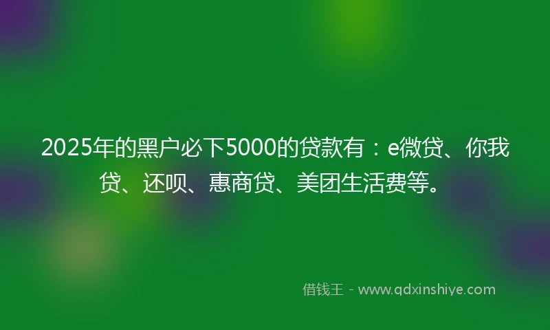 2025年的黑户必下5000的贷款有：e微贷、你我贷、还呗、惠商贷、美团生活费等。