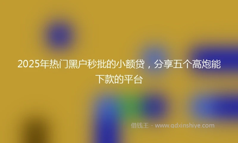 2025年热门黑户秒批的小额贷，分享五个高炮能下款的平台