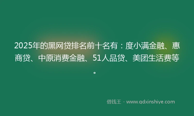 2025年的黑网贷排名前十名有：度小满金融、惠商贷、中原消费金融、51人品贷、美团生活费等。