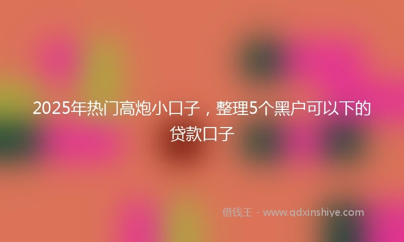2025年热门高炮小口子，整理5个黑户可以下的贷款口子
