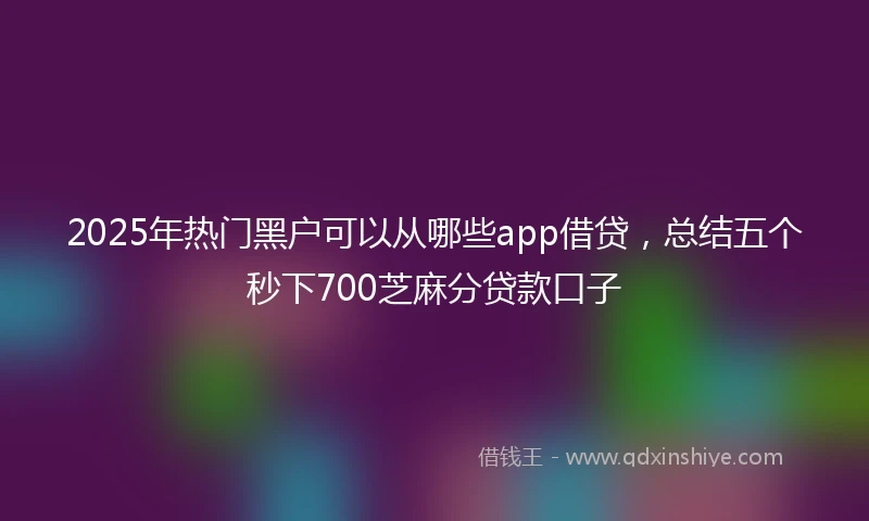 2025年热门黑户可以从哪些app借贷，总结五个秒下700芝麻分贷款口子