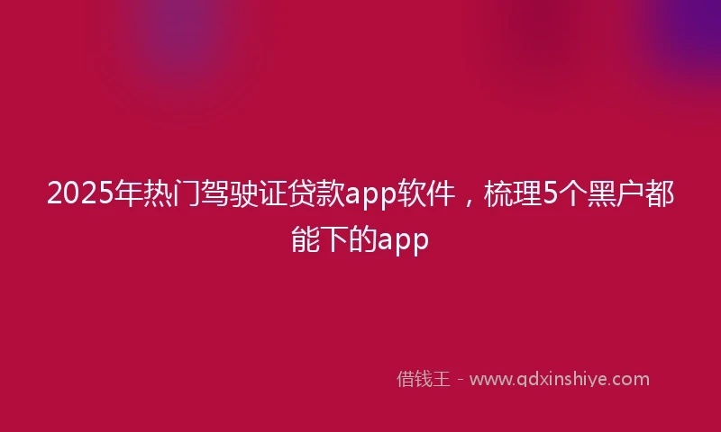 2025年热门驾驶证贷款app软件，梳理5个黑户都能下的app