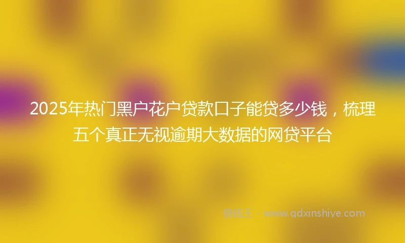2025年热门黑户花户贷款口子能贷多少钱，梳理五个真正无视逾期大数据的网贷平台