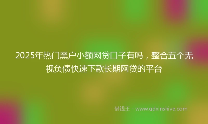 2025年热门黑户小额网贷口子有吗，整合五个无视负债快速下款长期网贷的平台