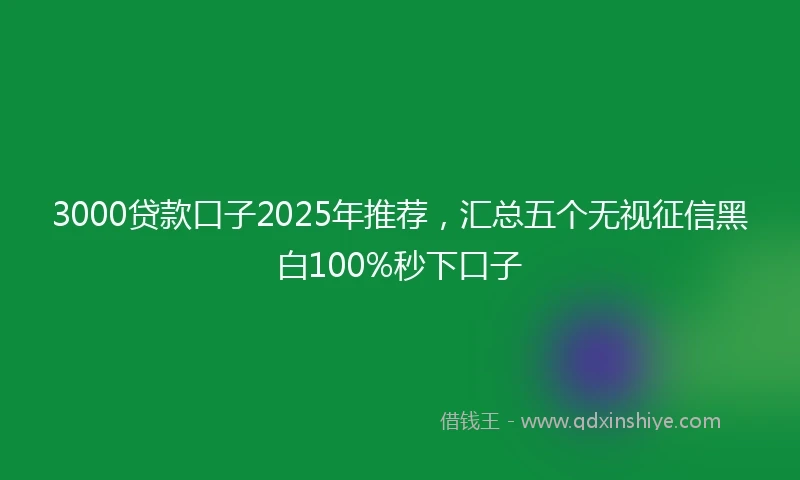 3000贷款口子2025年推荐，汇总五个无视征信黑白100%秒下口子
