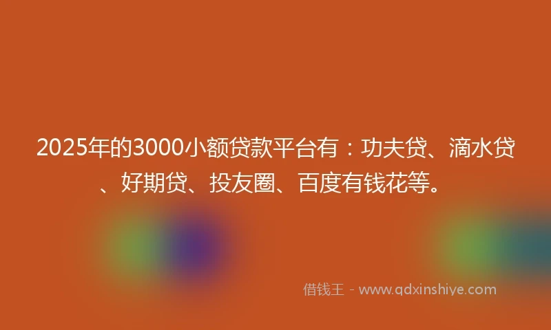 2025年的3000小额贷款平台有：功夫贷、滴水贷、好期贷、投友圈、百度有钱花等。