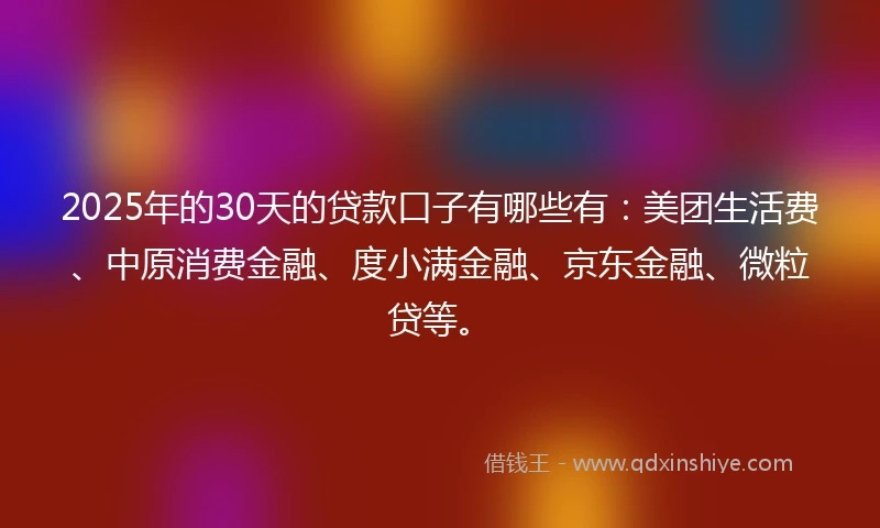 2025年的30天的贷款口子有哪些有：美团生活费、中原消费金融、度小满金融、京东金融、微粒贷等。