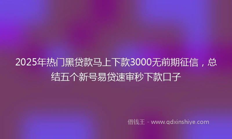 2025年热门黑贷款马上下款3000无前期征信，总结五个新号易贷速审秒下款口子