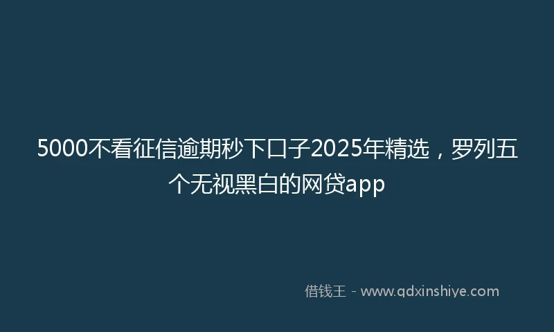 5000不看征信逾期秒下口子2025年精选，罗列五个无视黑白的网贷app