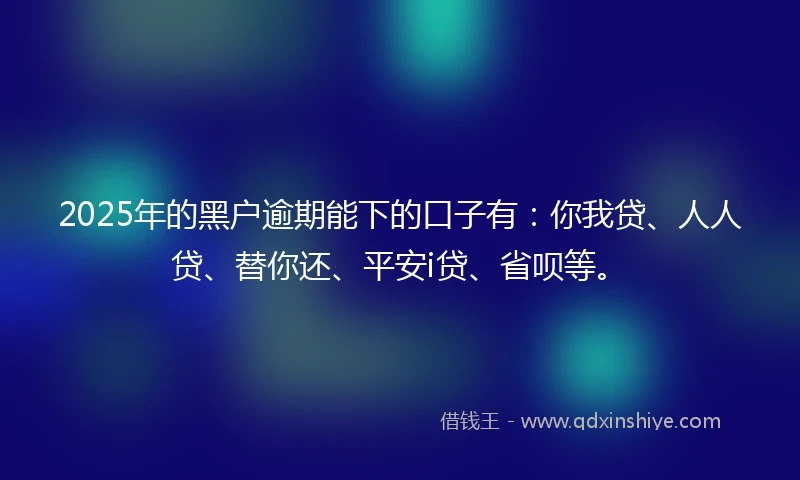 2025年的黑户逾期能下的口子有：你我贷、人人贷、替你还、平安i贷、省呗等。