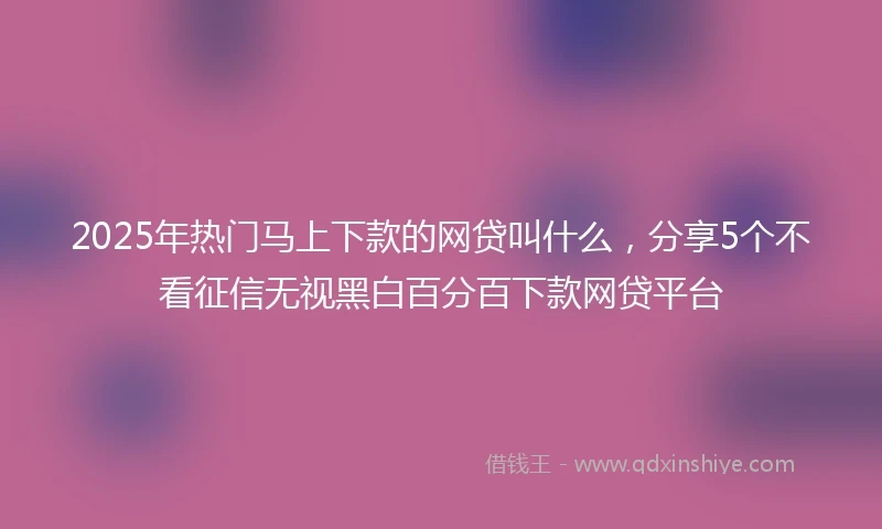 2025年热门马上下款的网贷叫什么，分享5个不看征信无视黑白百分百下款网贷平台
