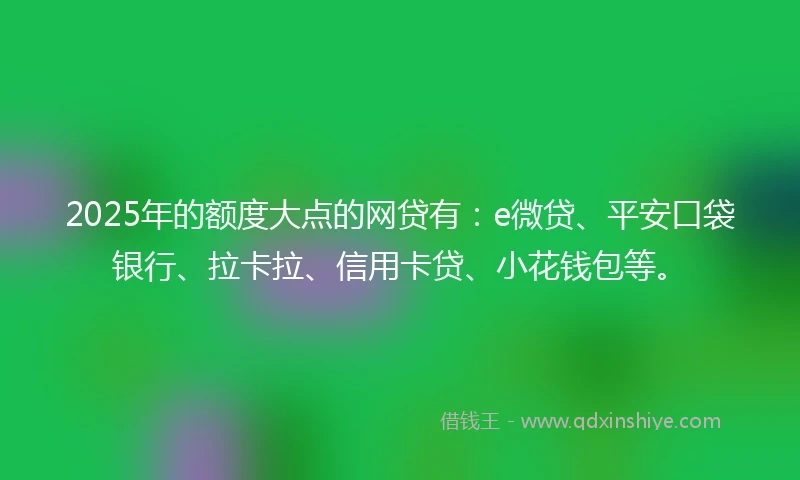 2025年的额度大点的网贷有：e微贷、平安口袋银行、拉卡拉、信用卡贷、小花钱包等。