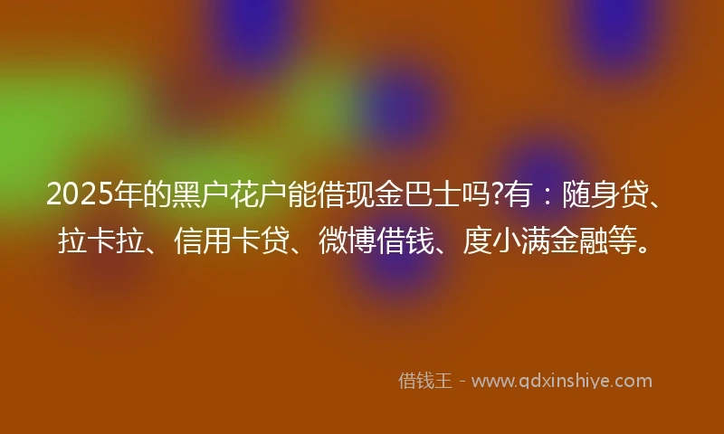2025年的黑户花户能借现金巴士吗?有：随身贷、拉卡拉、信用卡贷、微博借钱、度小满金融等。