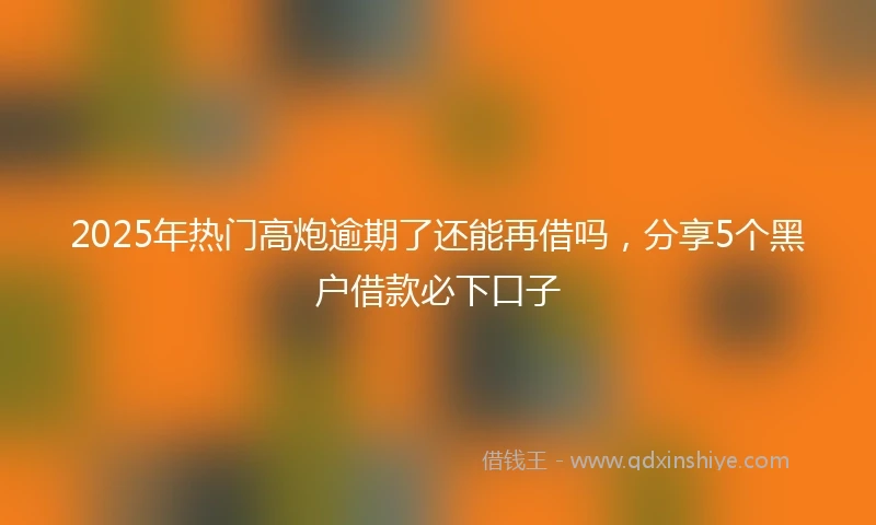 2025年热门高炮逾期了还能再借吗，分享5个黑户借款必下口子