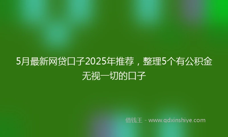 5月最新网贷口子2025年推荐，整理5个有公积金无视一切的口子