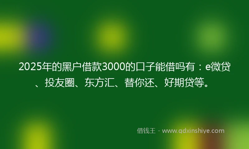2025年的黑户借款3000的口子能借吗有：e微贷、投友圈、东方汇、替你还、好期贷等。