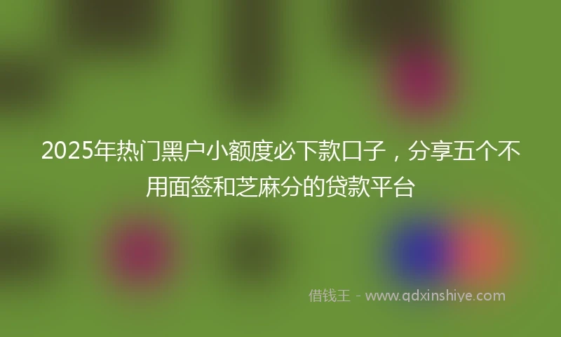 2025年热门黑户小额度必下款口子，分享五个不用面签和芝麻分的贷款平台
