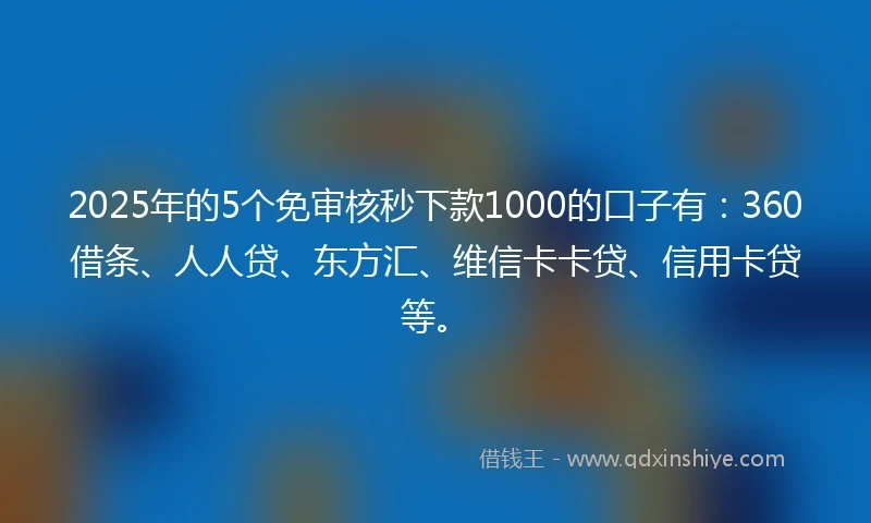 2025年的5个免审核秒下款1000的口子有：360借条、人人贷、东方汇、维信卡卡贷、信用卡贷等。